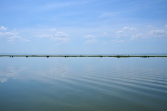 Wide expanse of water under a blue sky with some clouds, calm and peaceful atmosphere, Lake Apopka