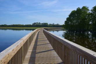 Long wooden walkway leads through calm water under a blue sky, Orlando Wetlands, Christmas,