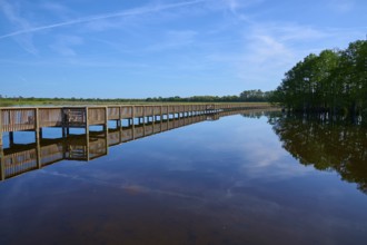 Clear sky reflected in the water next to a long wooden walkway, Orlando Wetlands, Christmas,