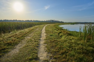 A winding gravel path along a body of water at sunrise, Orlando Wetlands, Christmas, Florida, USA