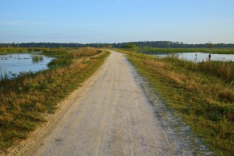 A straight gravel path between grassy areas under a clear sky, Orlando Wetlands, Christmas,