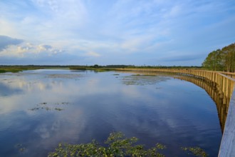 Wooden boardwalk along a tranquil lake under a cloudy sky, Orlando Wetlands, Christmas, Florida,