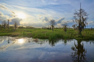 Nature with sunset over a swamp, reflection in the water, clouds in the sky, Orlando Wetlands,