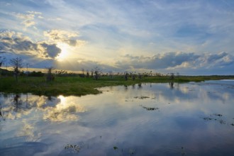 Expansive marshland at sunset with dramatic sky and cloud reflection in the water, Orlando