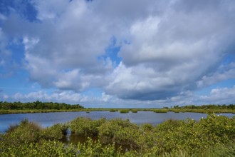 Expansive marshland under partly cloudy skies, Black Point Wildlife Drive, Titusville, Florida, USA