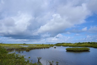 Tranquil marshland with clouds and vegetation, Black Point Wildlife Drive, Titusville, Florida, USA