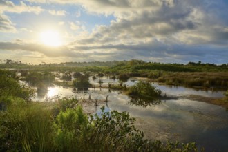 Marsh landscape at sunset with clouds and reflections in the water, Black Point Wildlife Drive,