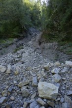Mudslide in the Graswang valley, mudslide, Graswang, Oberammergau, Ammergau, Ammergau Alps, Upper