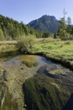 Ettaler Weidemoos, Graswang, Graswangtal, moss, wetland, Oberammergau, Catholic, Ammergau, Ammergau