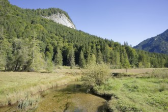 Ettaler Weidemoos, Graswang, Graswangtal, moss, wetland, Oberammergau, Catholic, Ammergau, Ammergau