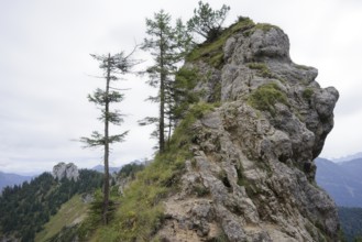 Ammergau Alps, Laber, hiking, mountain hiking, Ammergau, Oberammergau, mountains, Alps, Bavaria,
