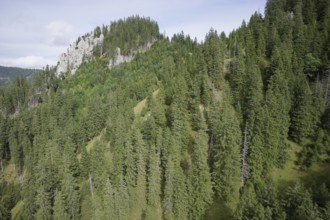 Ammergau Alps, Ammergau, Oberammergau, Laber, mountain, mountain hiking, hiking, mountains, Alps,