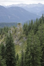 Ammergau Alps, Laber, hiking, mountain hiking, Ammergau, Oberammergau, mountains, Alps, Bavaria,
