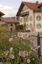 Summer garden in Oberammergau, Lüftlmalerei, Lüftlkunst, Bible, summer anemone, anemone, Ammergau,