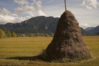 Traditional litter threshing floor in Pulvermoos between Oberammergau and Unterammergau, mountain