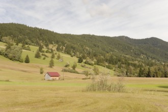 Pulvermoos between Oberammergau and Unterammergau, mountain hiking, hiking, moss, wetland biotope,