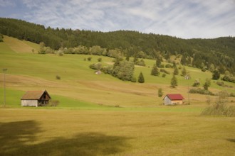 Pulvermoos between Oberammergau and Unterammergau, mountain hiking, hiking, moss, wetland biotope,