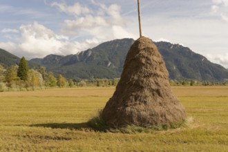 Traditional litter threshing floor in Pulvermoos between Oberammergau and Unterammergau, mountain
