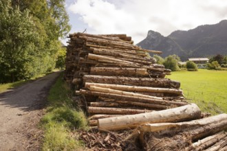 Wood pile by the wayside, renewable raw material, wood, Kofel, mountain, Oberammergau, Catholic,