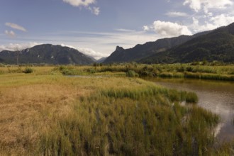 Pulvermoos between Oberammergau and Unterammergau with views of Kofel and Laber, mountain hiking,