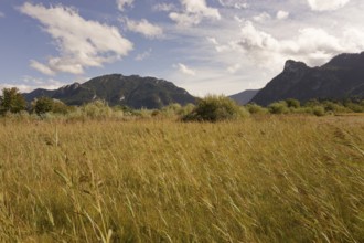 Pulvermoos between Oberammergau and Unterammergau with views of Kofel and Laber, mountain hiking,