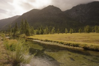 Ettaler Weidemoos, moss, wetland biotope, Oberammergau, Catholic, Ammergau, Ammergau Alps, Upper