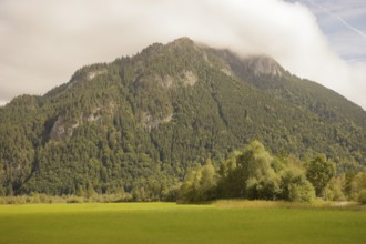 Ettaler Weidemoos, moss, wetland biotope, Oberammergau, Catholic, Ammergau, Ammergau Alps, Upper