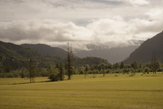 Ettaler Weidemoos, moss, wetland biotope, Oberammergau, Catholic, Ammergau, Ammergau Alps, Upper