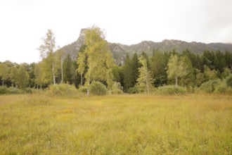 View of the Kofel, mountain, Zinken, mountain hiking, hiking, Oberammergau, Catholic, Ammergau,