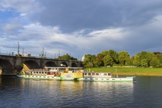 Elbdampfer (Pillnitz), Dresden, Saxony, Germany