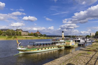 Terrassenufer at the Elbe without Carolabrücke, with Elbdampfer (Stadt wehlen), Dresden, Saxony,