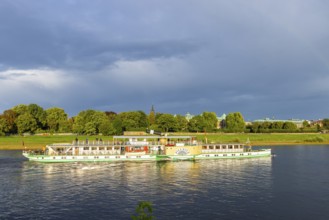 Elbdampfer (Pillnitz), Dresden, Saxony, Germany