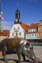 Market square with old town hall and Wildsaubrunnen, Wilsdruff, Saxony, Germany
