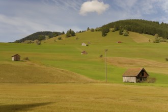 Pulvermoos between Oherammergau and Unterammergau, cultural landscape, agriculture, Alps,