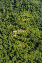 Aerial view, Rüdenburg castle ruins in the forest area, Arnsberg, Sauerland, North
