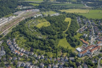 Aerial view, Lüsenberg with allotment garden site, Arnsberg, Sauerland, North Rhine-Westphalia,