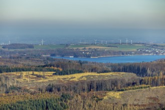 Aerial view, forest area with forest damage and view to the Möhnesee - Hevesee in the district