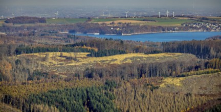 Aerial view, forest area with forest damage and view to the Möhnesee - Hevesee in the district