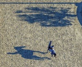 Aerial view, riding training at the riding centre Zucht-Reit und Fahrverein e.V. in the district