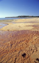 River, beach, Caraíva, Bahia - Brazil