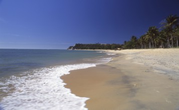 Beach, sea, palm trees, Caraíva, Bahia - Brazil