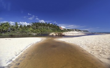 River, beach, Caraíva, Bahia - Brazil