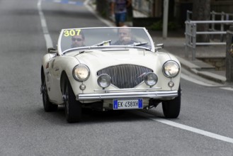 No. 307, Austin Healey 100 4 BN1, year of construction 1954, white convertible driving on a road