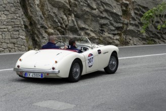 No. 307, Austin Healey 100 4 BN1, year of construction 1954, white retro convertible driving on a