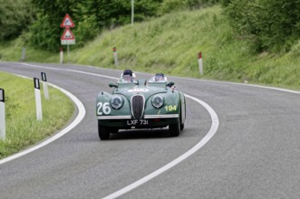 Two people in a green vintage convertible with racing numbers, fast drive on country road, vintage