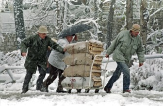 BIH, Bosnia, Sarajevo, 28.11.1993, People push a wagon with firewood through the snow