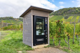 Vending machine for chilled wine and other drinks, wine machine of the Mayschoss-Altenahr