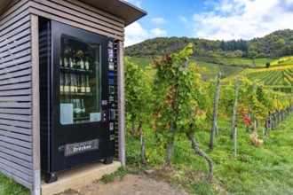 Vending machine for chilled wine and other drinks, wine machine of the Mayschoss-Altenahr