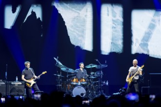 Dominic Miller (guitarist), Chris Maas (drummer), Sting (guitarist, real name: Gordon Matthew