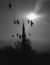 BIH, Bosnia, Sarajevo, 12.01.2006, pigeons flying over a mosque in the old town